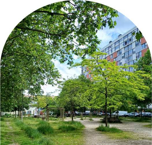 Parc et arbres avec barre d'immeuble en arrière plan